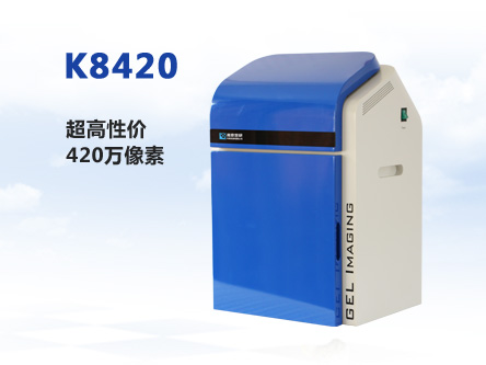 K8420全自动凝胶成像系统
